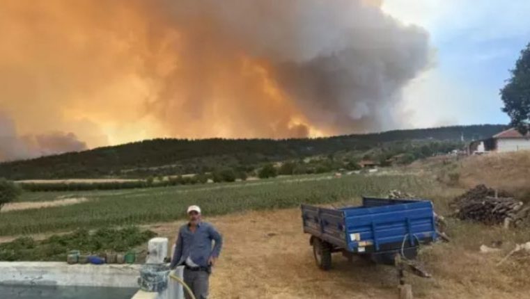 Orman Yangınları Hakkında