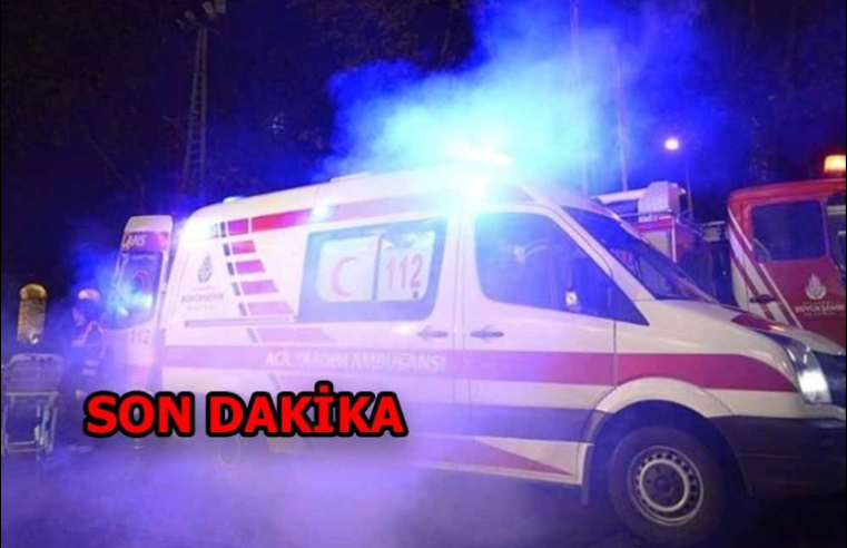 Kene Isırması Nedeniyle Hayatını Kaybedenlerin Sayısı 11’e Yükseldi
