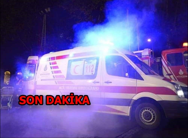 Kene Isırması Nedeniyle Hayatını Kaybedenlerin Sayısı 11’e Yükseldi