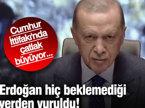 Şimdi Ne Yapacak
