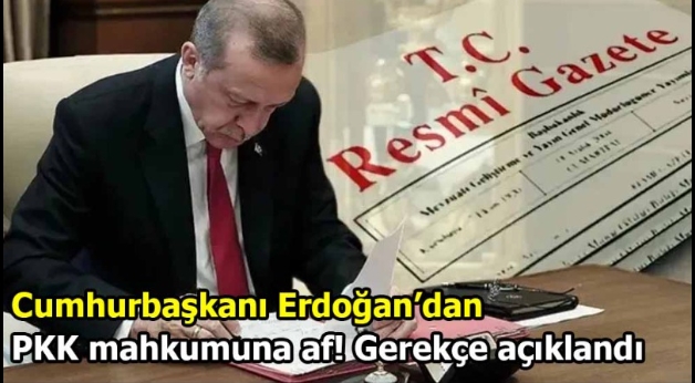 Kimi affetti?