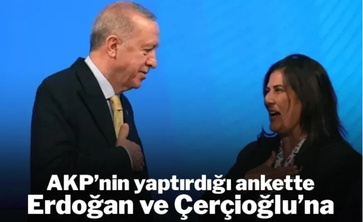 Çerçioğlu anketi