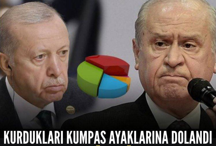 Son anketin sonuçları şaşırttı!