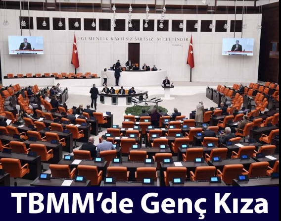 TBMM’de stajyer öğrenciye yönelik iddiada bir tutuklama