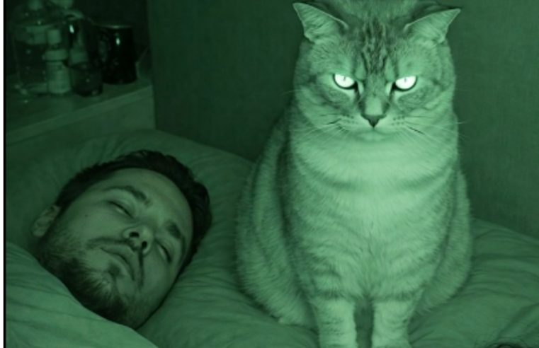 Her gece kedimizin eşim ve beni dikkatle izlediğini hissettiğim için uyanıyordum