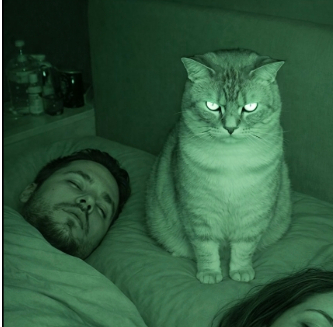 Her gece kedimizin eşim ve beni dikkatle izlediğini hissettiğim için uyanıyordum