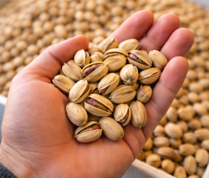 Antep fıstığının vücuda faydaları