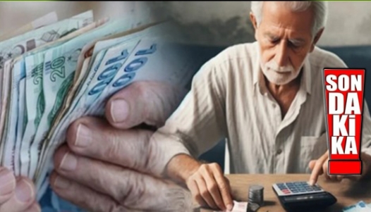 Tamamlayıcı Emeklilik Sisteminde Detaylar Belli Oldu