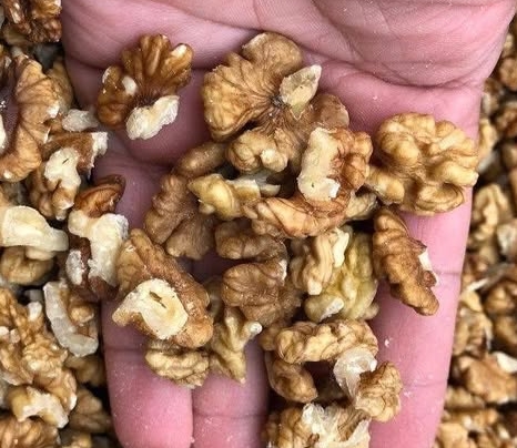 Doktorlar ceviz yemenin faydaları