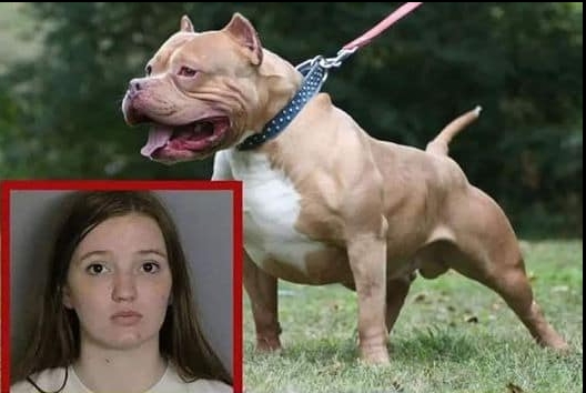 3 aylık bebeğini aynı odada bıraktı