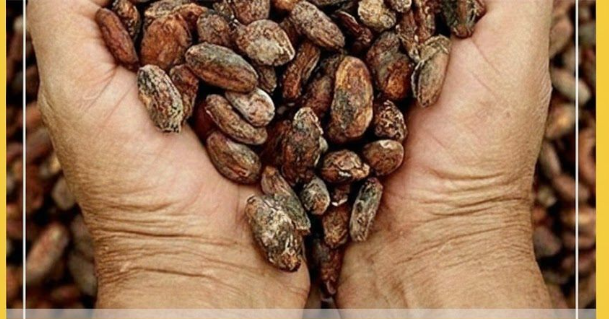 Alzheimer’e Karşı Çok Faydalı