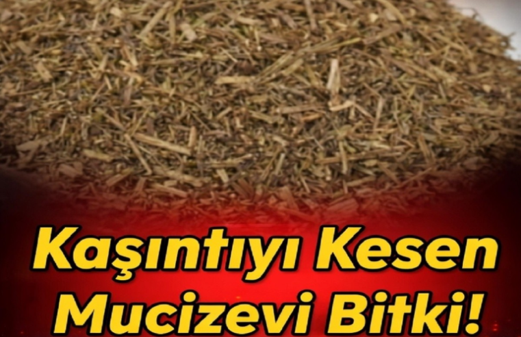 Kaşıntıyı Kesen Mucizevi Bitki!