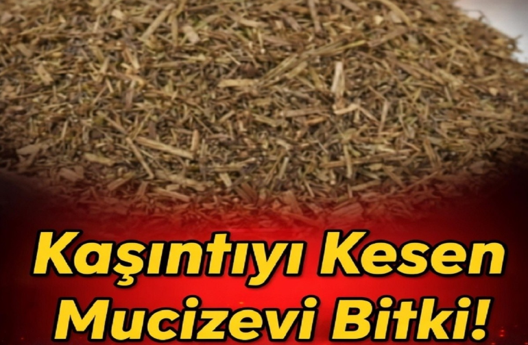 Kaşıntıyı Kesen Mucizevi Bitki!