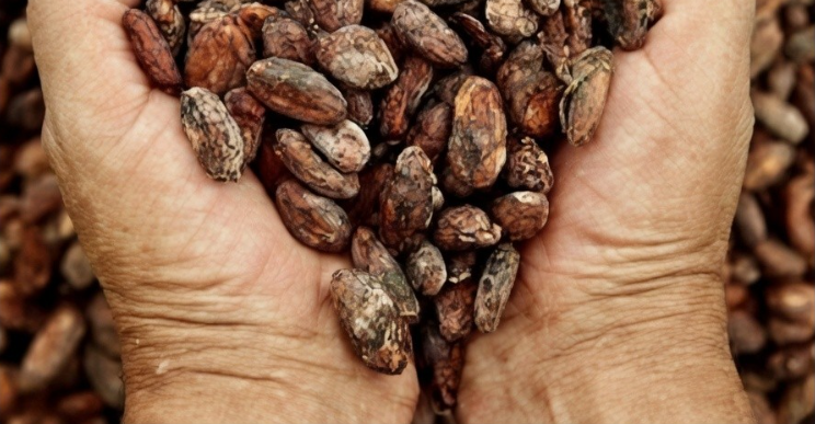 Hafızayı Güçlendiriyor..