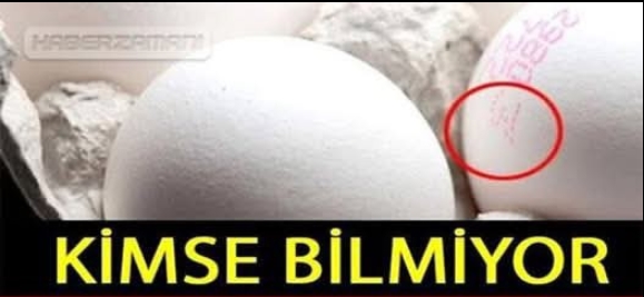 Yumurta Sevenlere Kötü Haber..