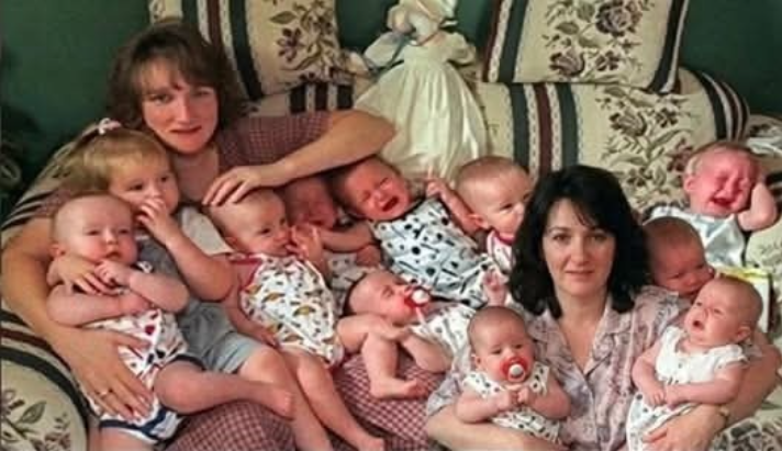 Yaşamaz Denilen Yedizler