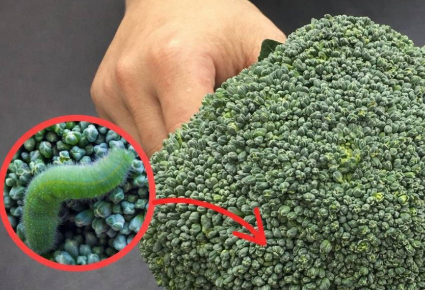 Brokoliyi sadece suyla yıkamak yanlıştır