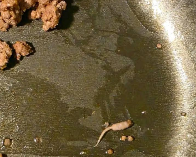 Kıyma pişiriyordum ve tavadan çıkardığımda kıymaya benzemeyen