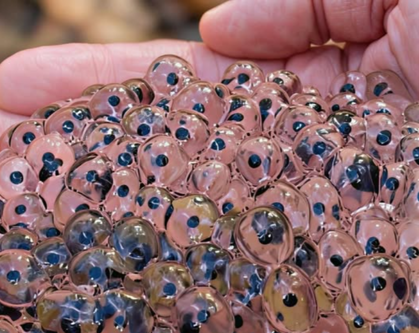 Sabahın erken saatlerinde altmış dört yaşındaki çiftçi