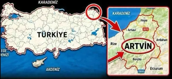 Yürekleri yakan hadise malesef artvinde yaşandı