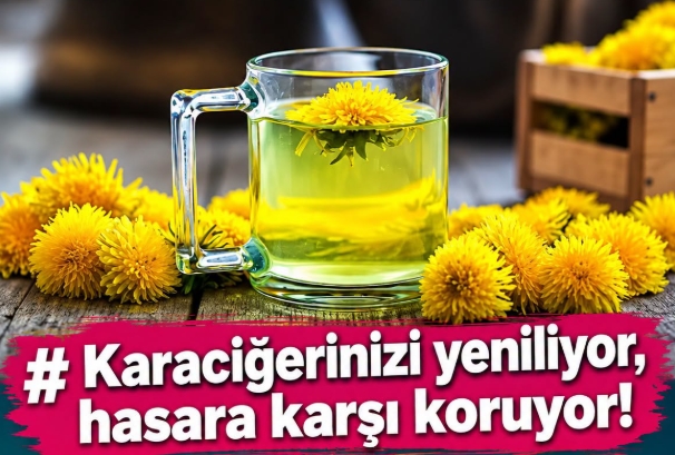 Karaciğerinizi yeniliyor, hasara karşı koruyor