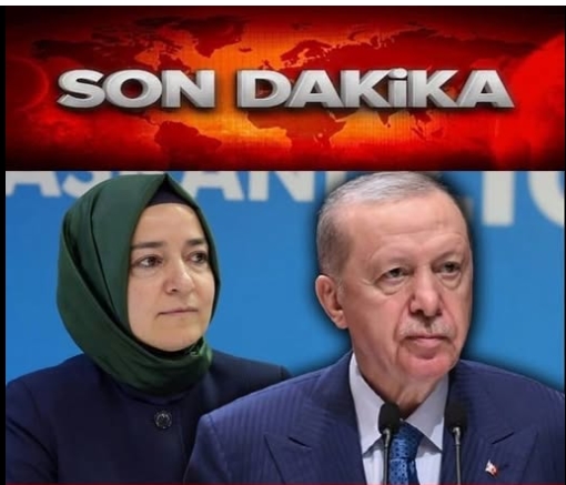 Erdoğan Kararını Verdi.