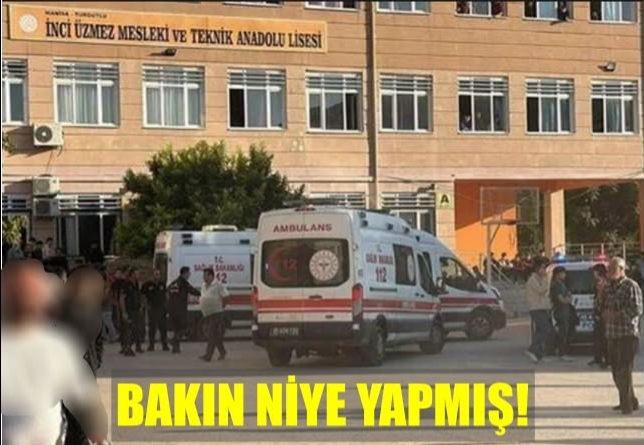 Manisa Anadolu Lisesine