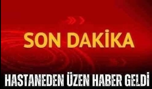 Ünlü sanatçı