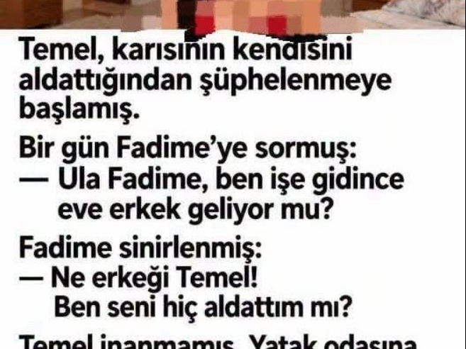 Temelin Kamerası