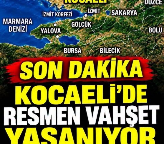 Kaza, Düzce’nin Akçakoca ilçesinde meydana geldi.