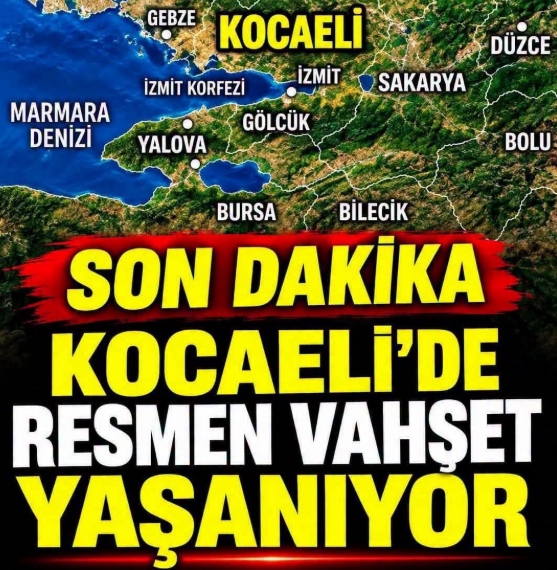 Kaza, Düzce’nin Akçakoca ilçesinde meydana geldi.